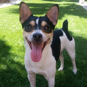 Meet your Posher, Martin